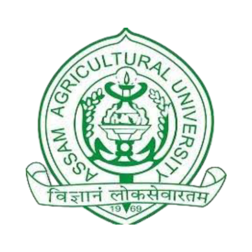 AAU Recruitment 2025 - Apply Online for 489 Posts